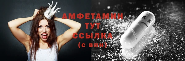 прущие грибы Абаза