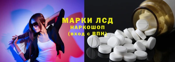 прущие грибы Абаза