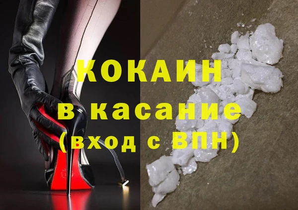 прущие грибы Абаза