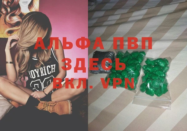прущие грибы Абаза