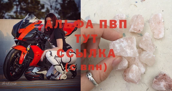 прущие грибы Абаза