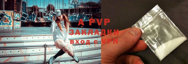 прущие грибы Абаза