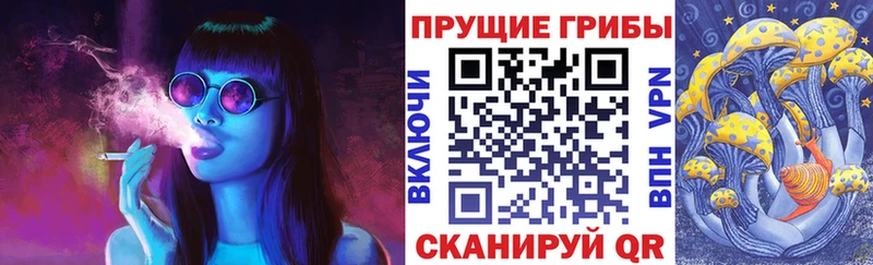 Псилоцибиновые грибы Psilocybe Тула